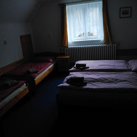 Penzion Iris Krkonose Horni Marsov Bagian luar foto