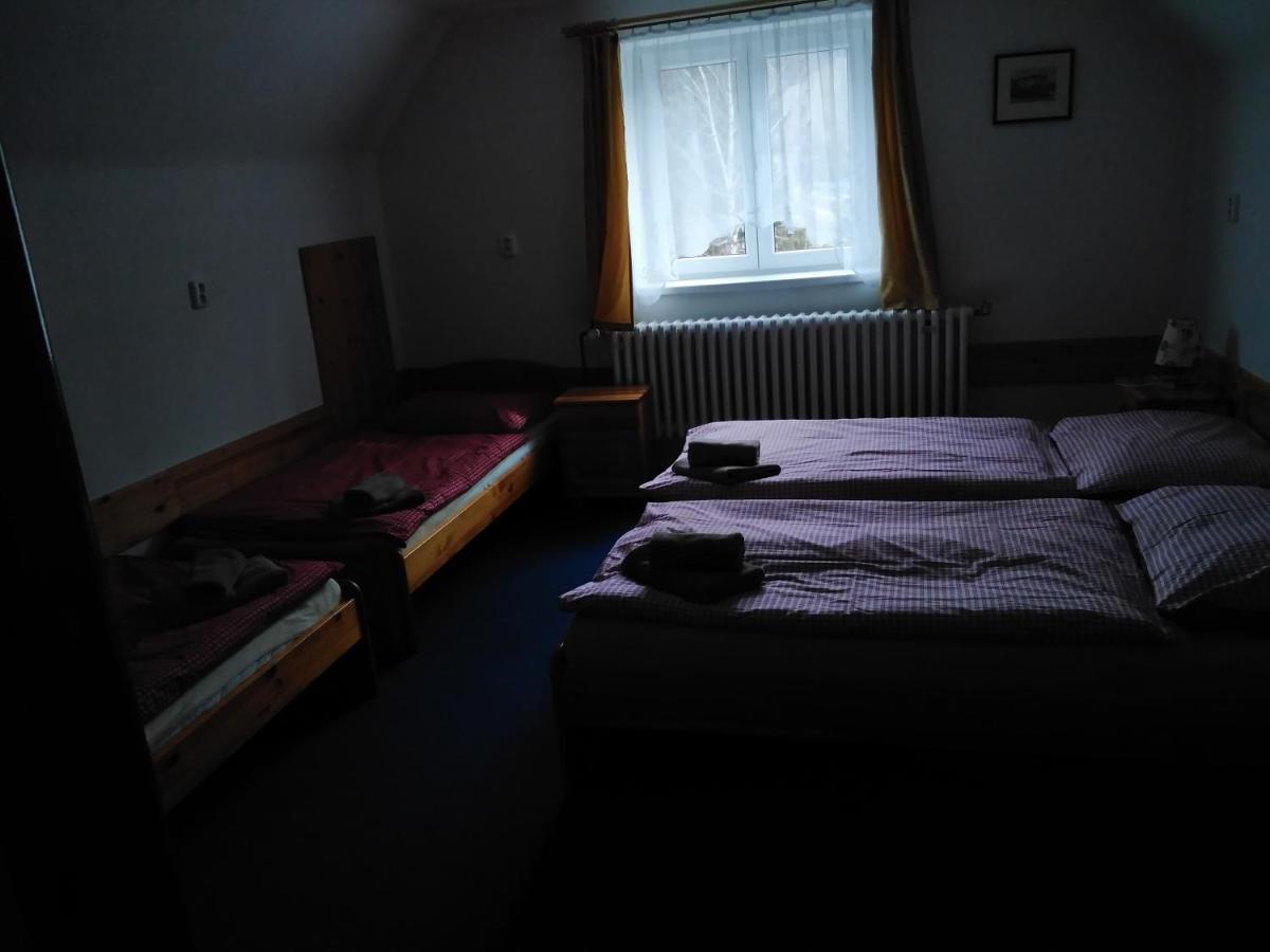 Penzion Iris Krkonose Horni Marsov Bagian luar foto