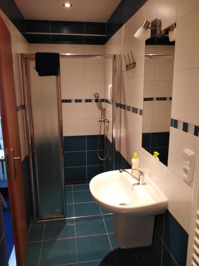 Penzion Iris Krkonose Horni Marsov Bagian luar foto