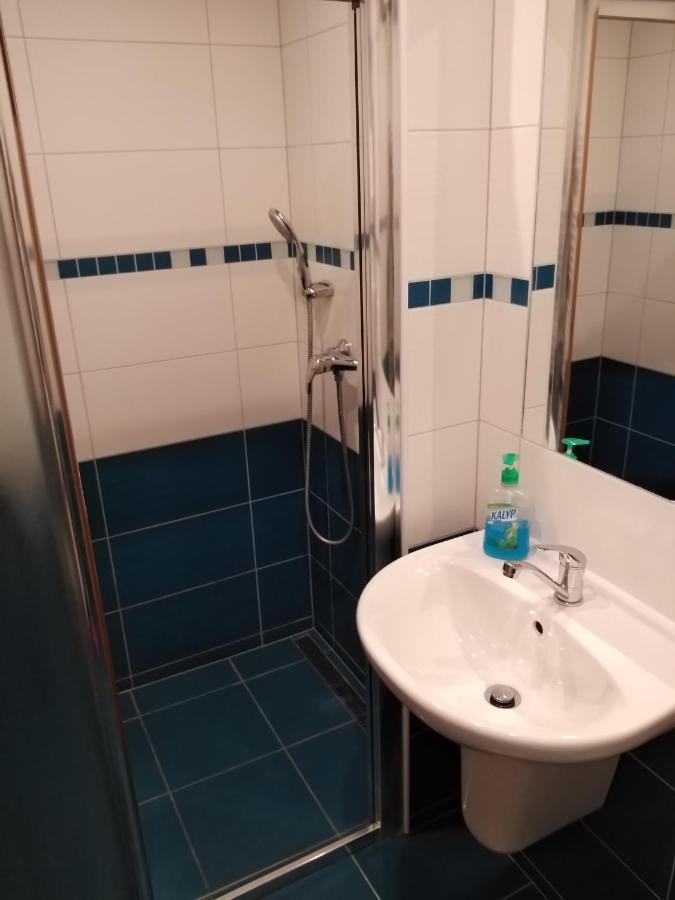 Penzion Iris Krkonose Horni Marsov Bagian luar foto