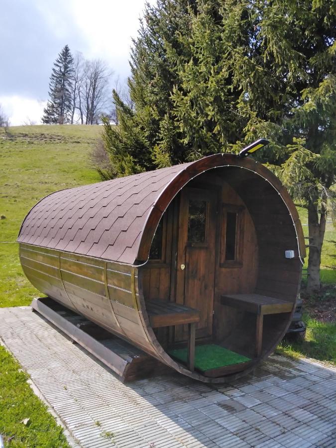 Penzion Iris Krkonose Horni Marsov Bagian luar foto