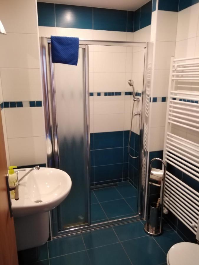 Penzion Iris Krkonose Horni Marsov Bagian luar foto