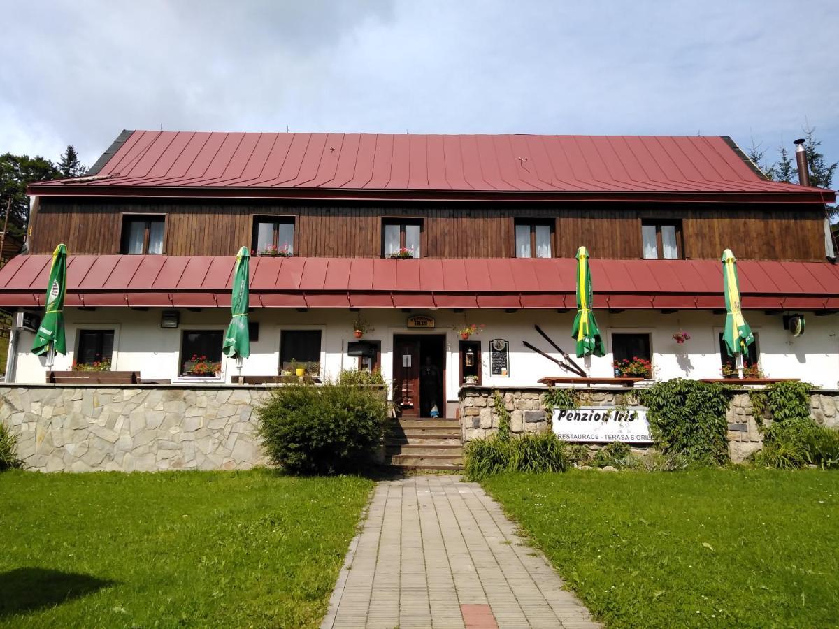 Penzion Iris Krkonose Horni Marsov Bagian luar foto