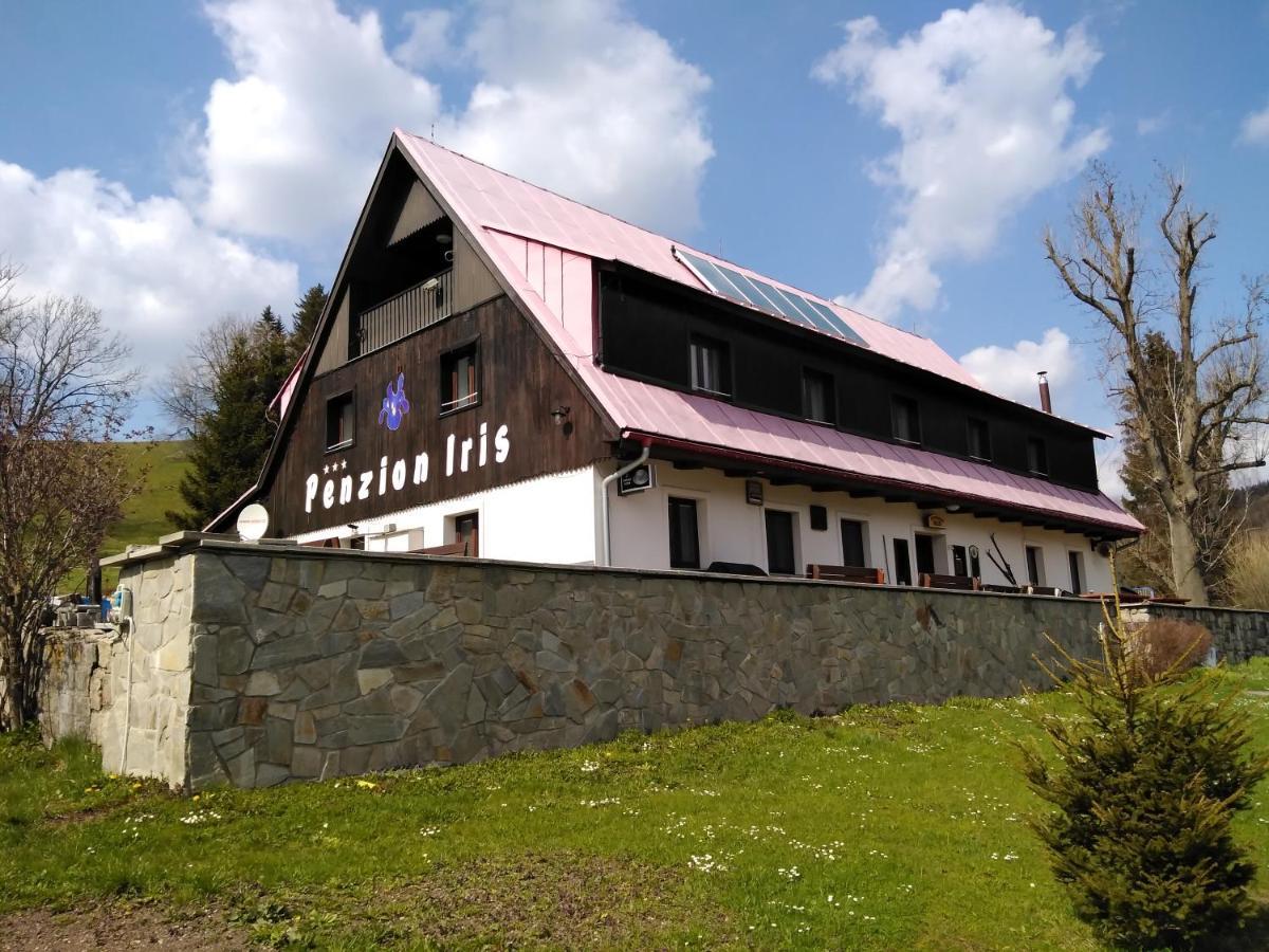 Penzion Iris Krkonose Horni Marsov Bagian luar foto